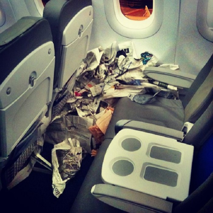 Неправильные пассажиры самолетов (29 фото)