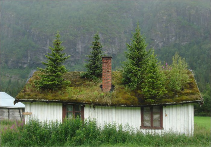 Сказочная Норвегия (15 фото)