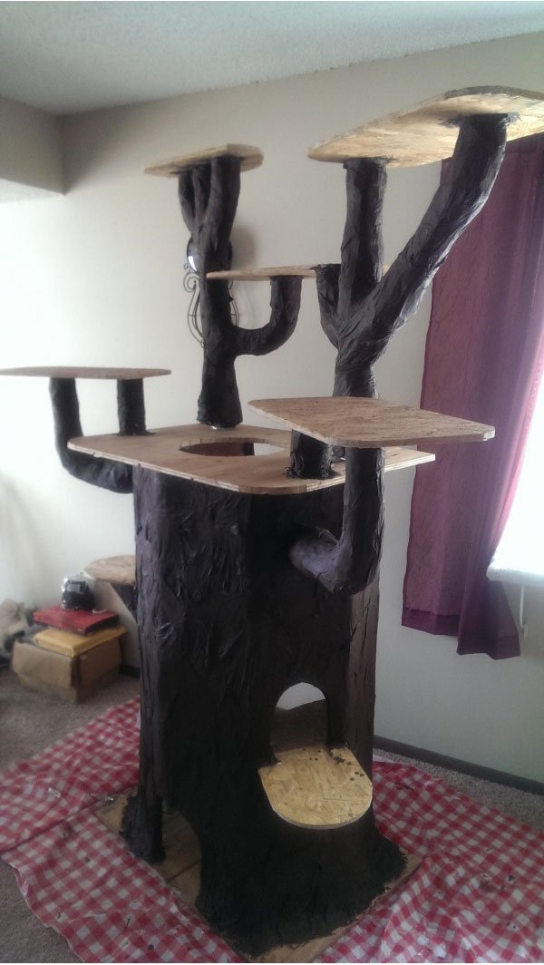 Строим домик для кота (23 фото)