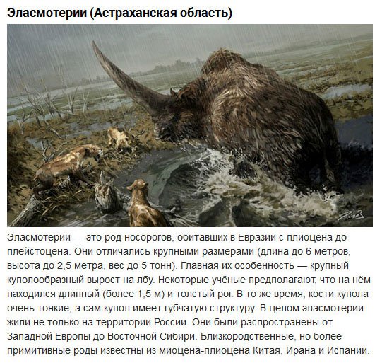Гиганты, обитавшие на территории России (10 фото)