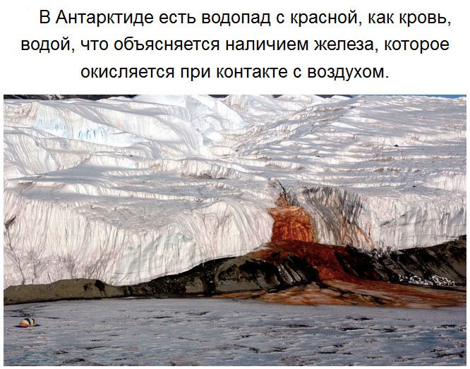 Факты об Антарктиде (27 фото)