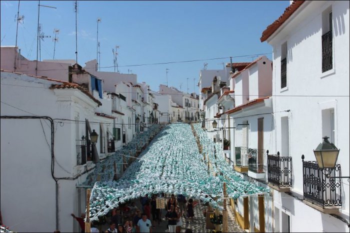 Праздник цветов в Португалии (13 фото)