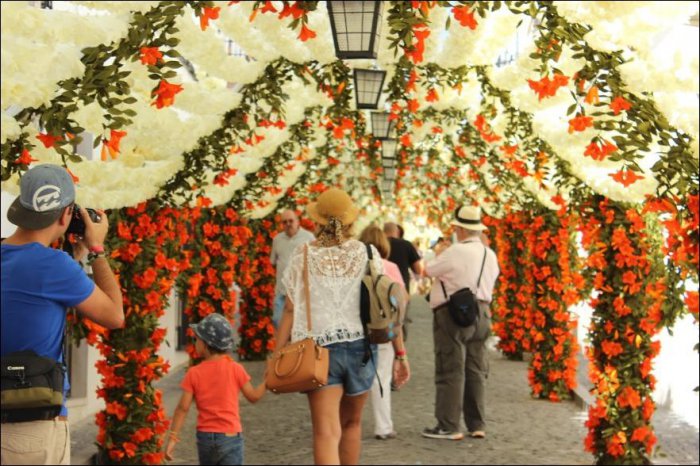 Праздник цветов в Португалии (13 фото)