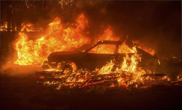 Лесные пожары в Калифорнии (24 фото)