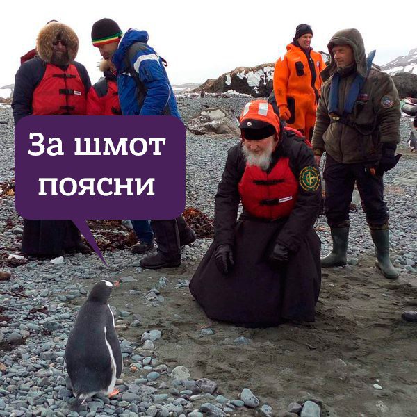 Фотожабы на Патриарха Кирилла и пингвинов (15 фото)