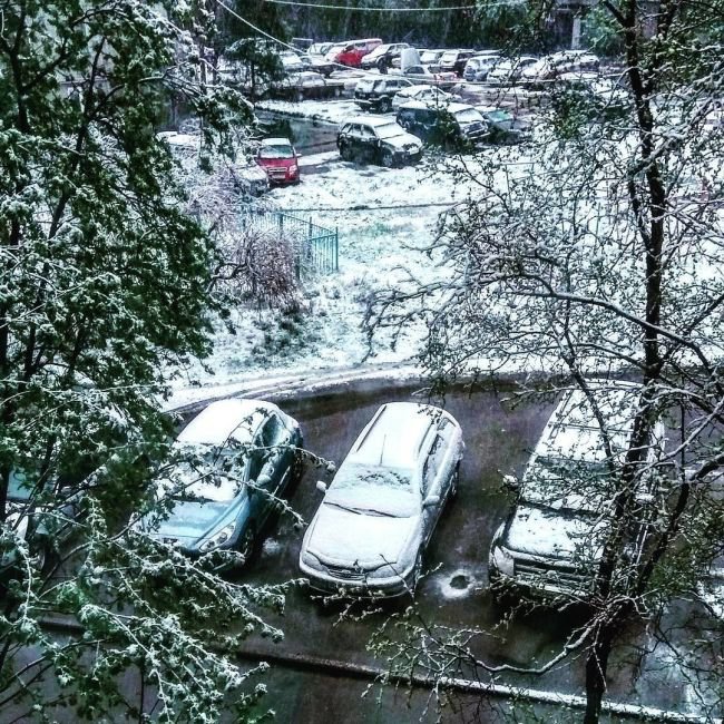 В россии выпадет снег. Снег летом в Мурманске. Снегопад в Мурманской области. В Мурманске выпал снег. Летний снегопад.