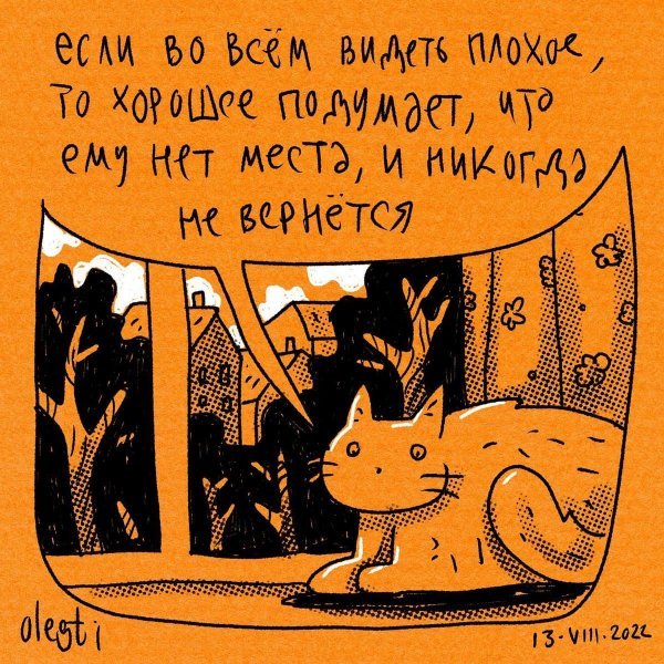 Забавные комиксы про кота, который познал мир