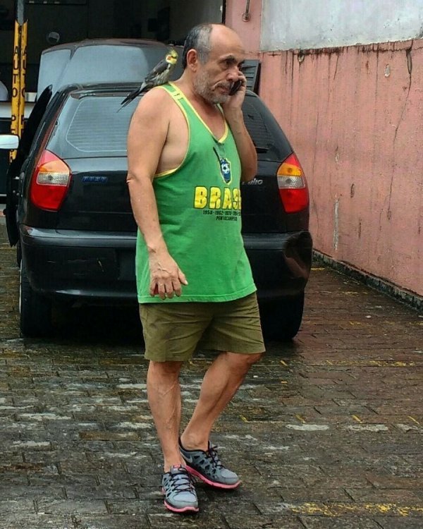 Тем временем в Бразилии (18 фото)