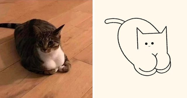 Минимализм в рисунках котов