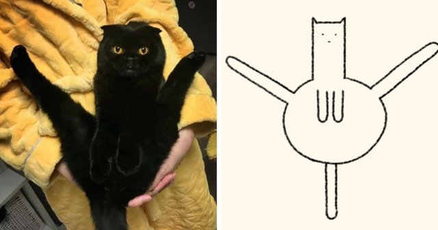 Минимализм в рисунках котов