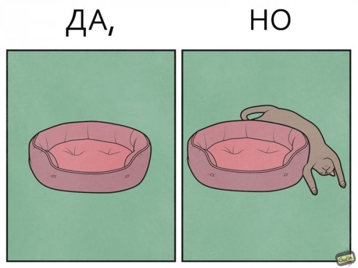 Да, но... (22/01/2024)