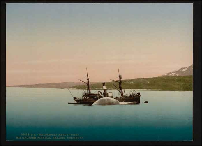 Норвегия в конце 19 века (29 фото)