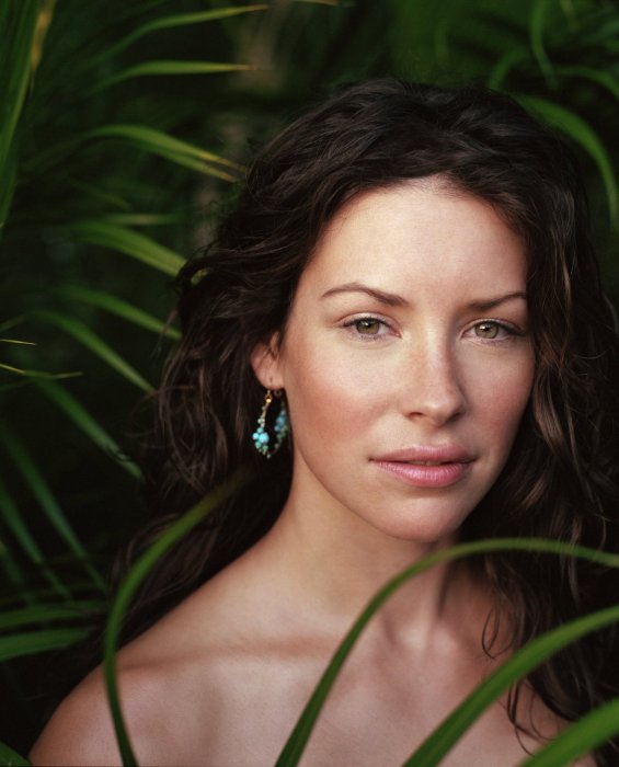 Evangeline Lilly (12 фото)
