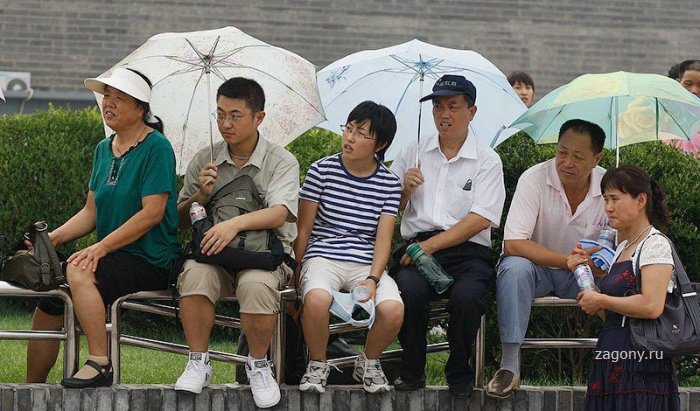 Китайские болельщики (18 фото)