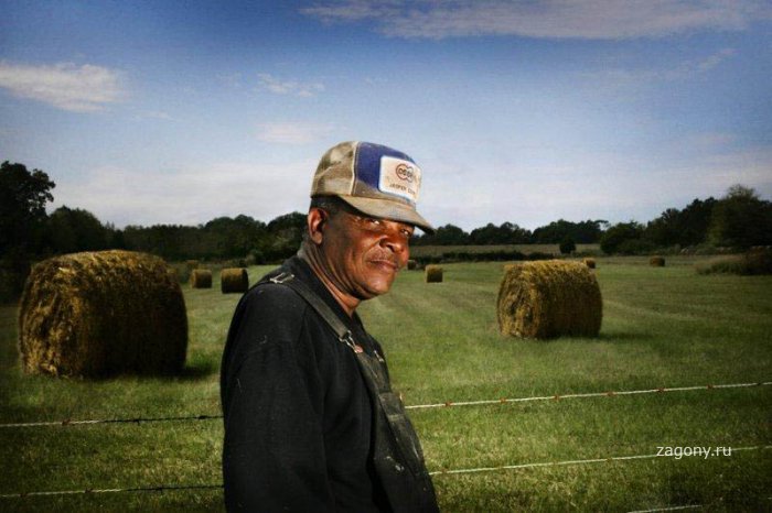 Американские фермеры (8 фото)