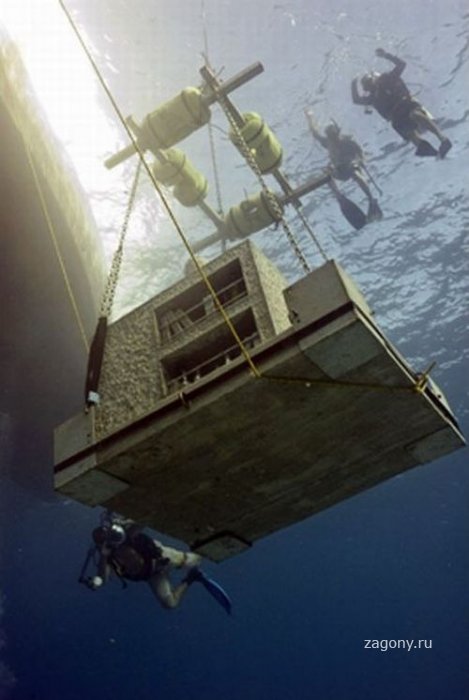 Подводный музей (14 фото)