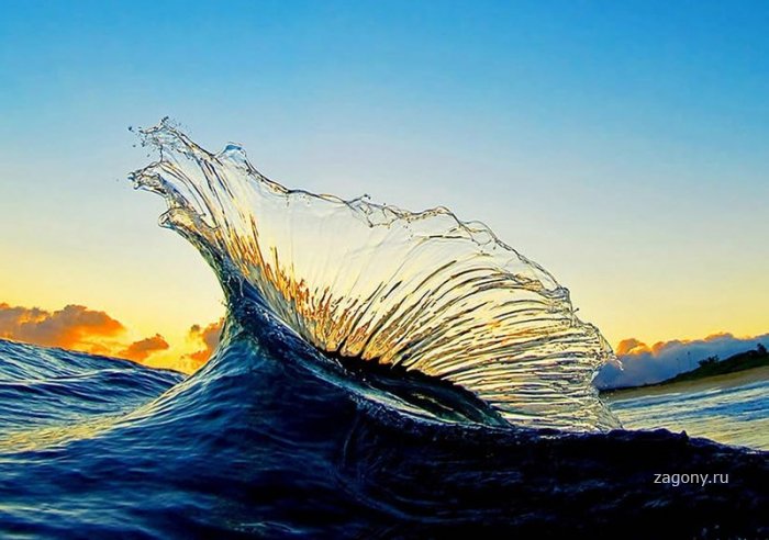Гавайские волны (21 фото)
