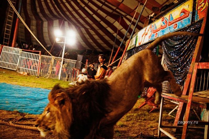 Цирк в Пакистане (23 фото)