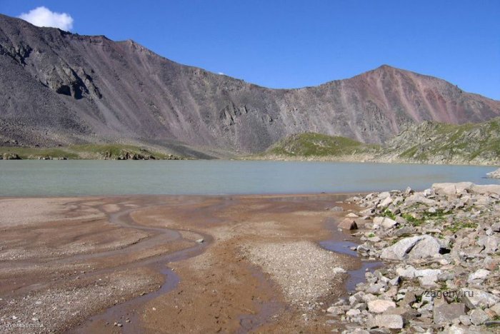 Озеро Сылтранкель на Кавказе (17 фото)