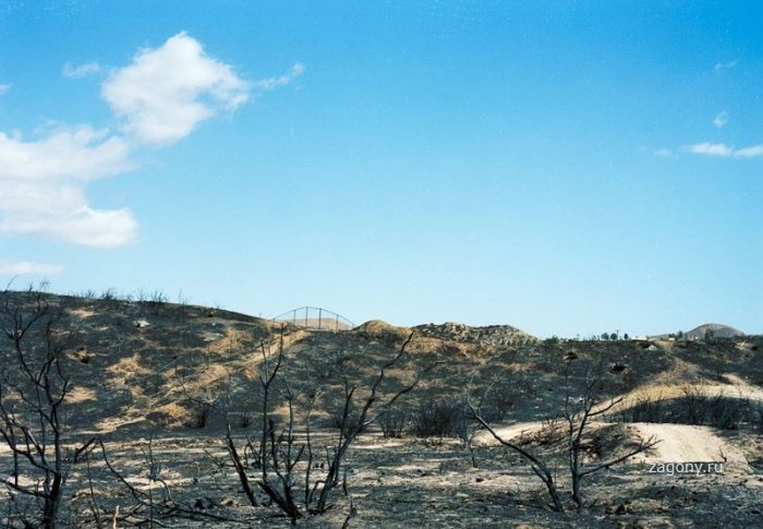 Фотографии выжженной земли (8 фото)