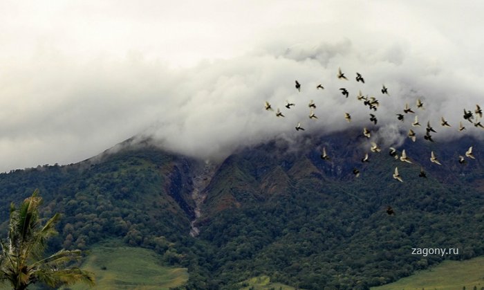 Извержение вулкана Синабунг (28 фото)