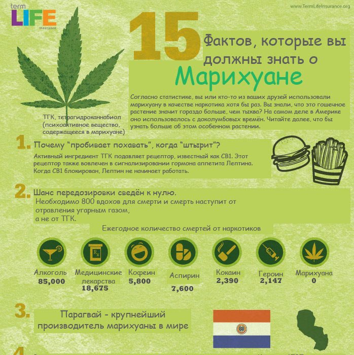 факты марихуана