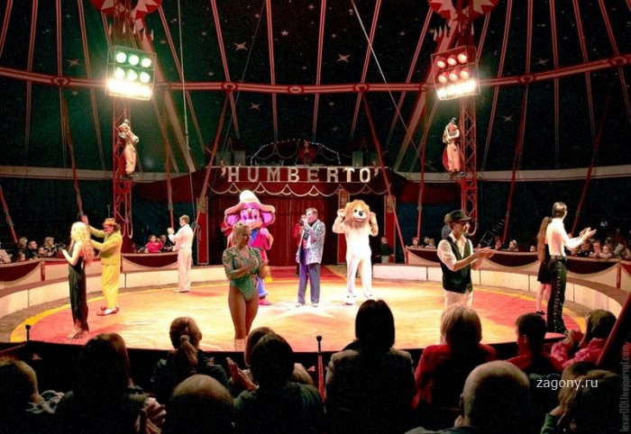 Цирк “Гумберто” (38 фото)