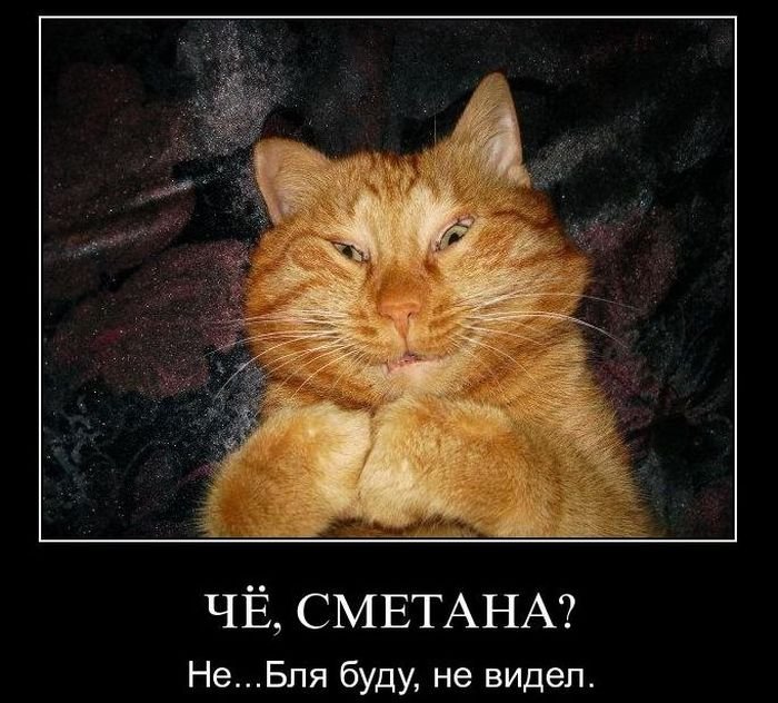 http://zagony.ru/uploads/posts/2010-12/1291724141_dem-4.jpg