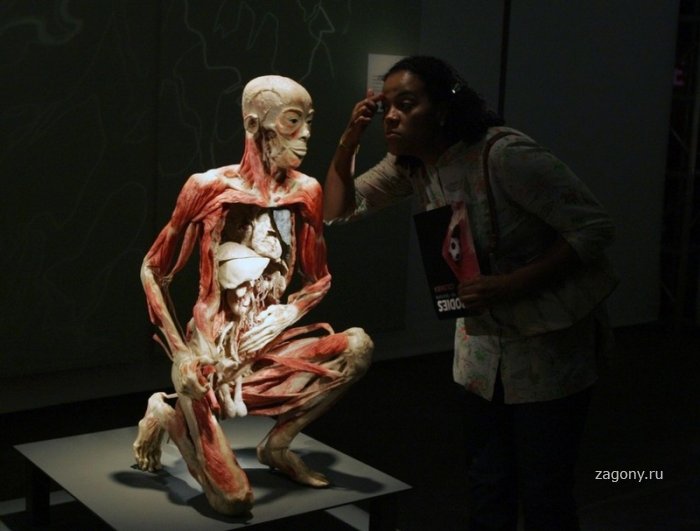 Выставка «Миры тела» (17 фото)