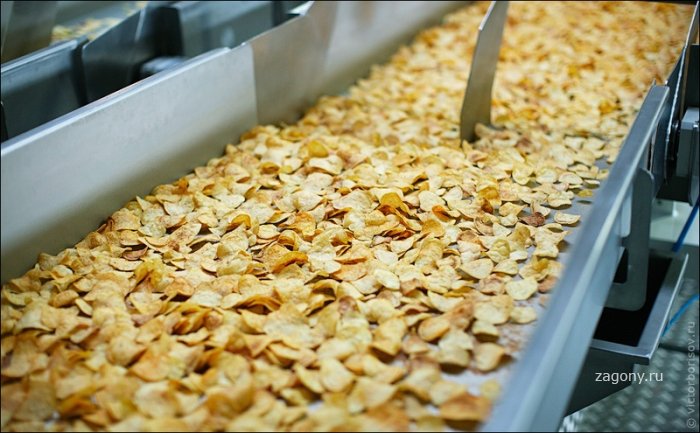 Как делают картофельные чипсы (38 фото)
