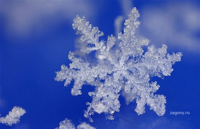 Мир снежинок и инея в макрообъективе Брайана Валентайна (14 фото)