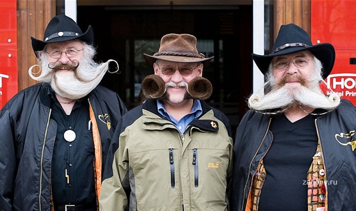 Норвежский конкурс усачей и бородачей (21 фото)