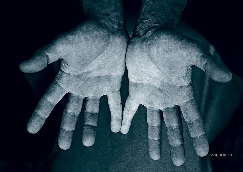 Легендарные руки. Руки. Рука человека. Фотографии изготовленных рук.