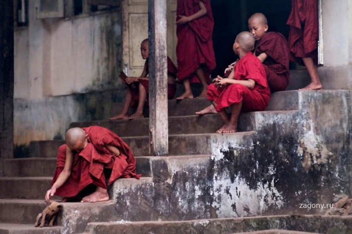 Будничная жизнь бирманских монахов (12 фото)