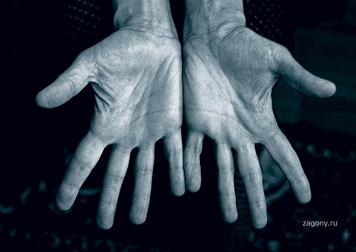 Знаменитые руки (13 фото)