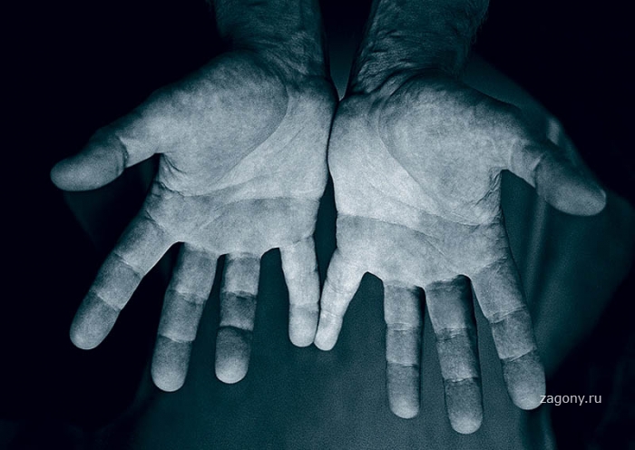 Знаменитые руки (13 фото)