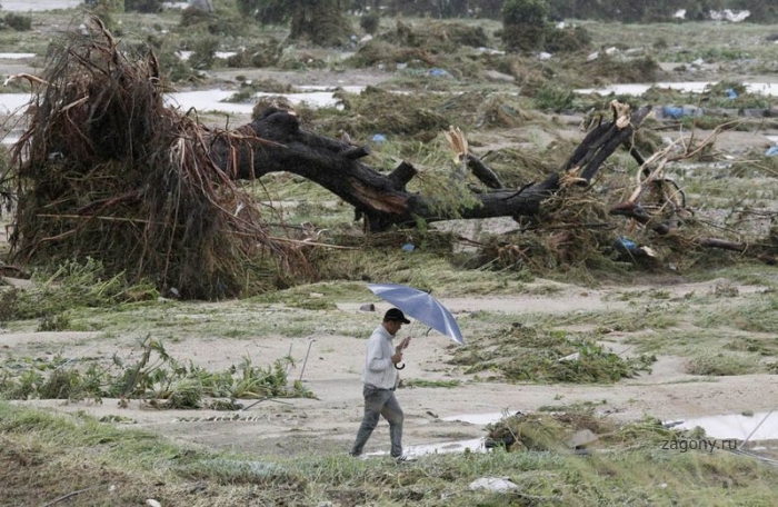 Тайфун Роке обрушился на Японию (9 фото)