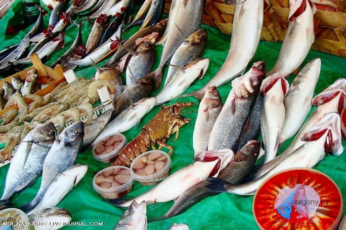 Рыбный рынок Kumkapi Balik Pazari (35 фото)