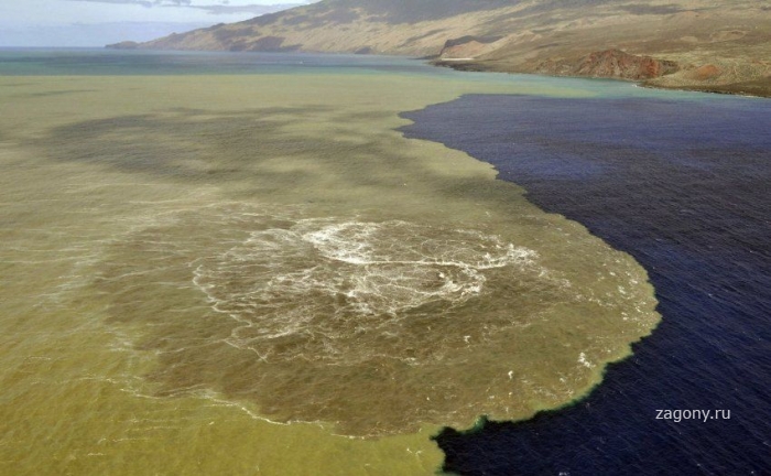 Подводный вулкан на Канарских островах (11 фото)
