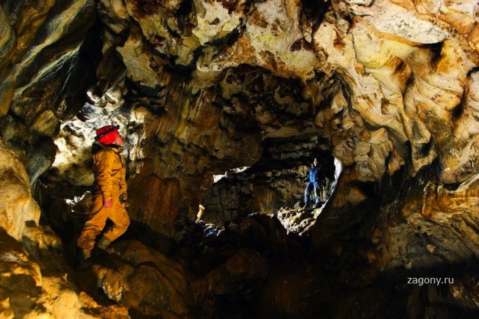 Пещерный человек (12 фото)