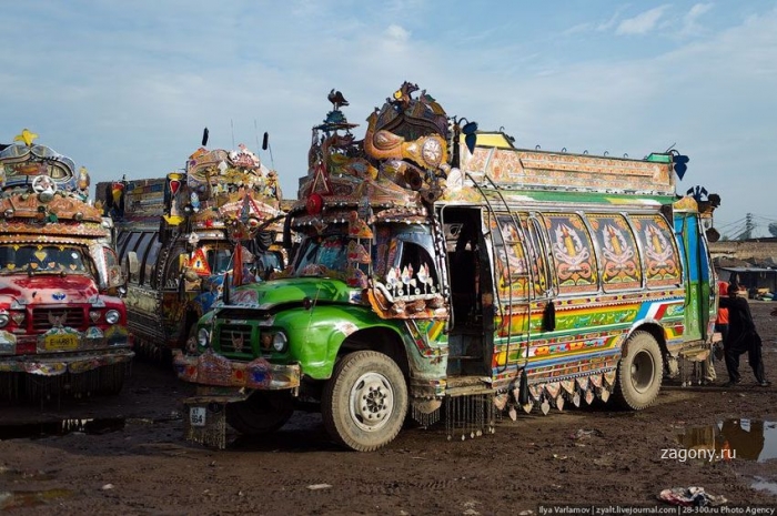 Пакистанские автобусы (40 фото)