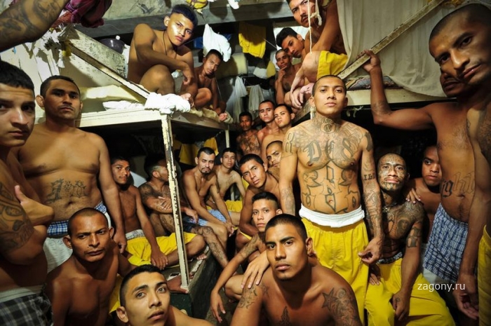 Тюрьмы Латинской Америки (15 фото)