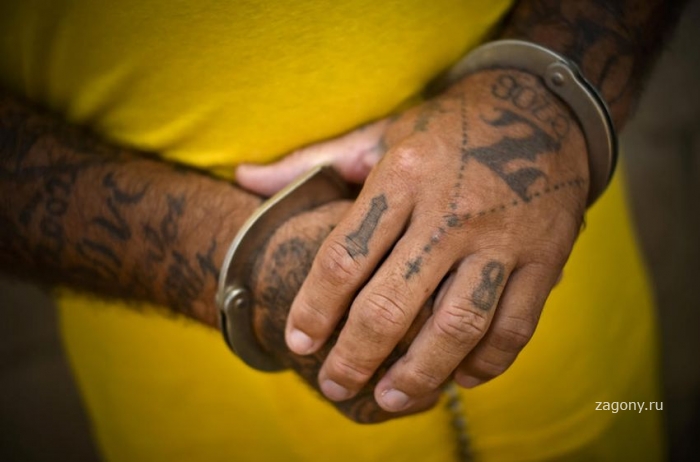 Тюрьмы Латинской Америки (15 фото)