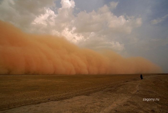 Песчаные бури (15 фото)