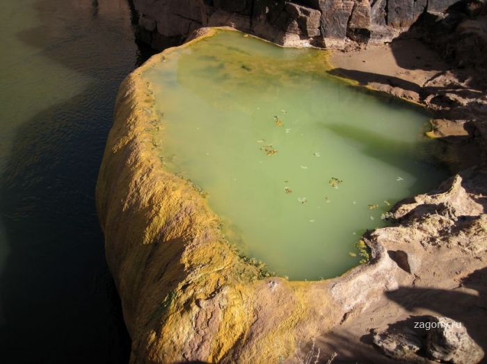 Ядовитый бассейн в Гранд Каньоне (9 фото)