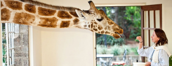Отель “Поместье жирафа” (20 фото)