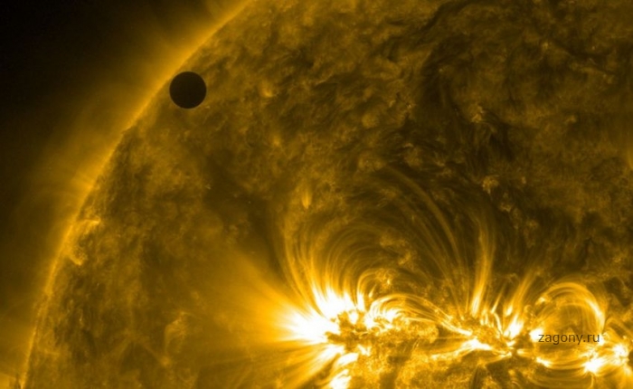 Прохождение Венеры по диску Солнца (30 фото)