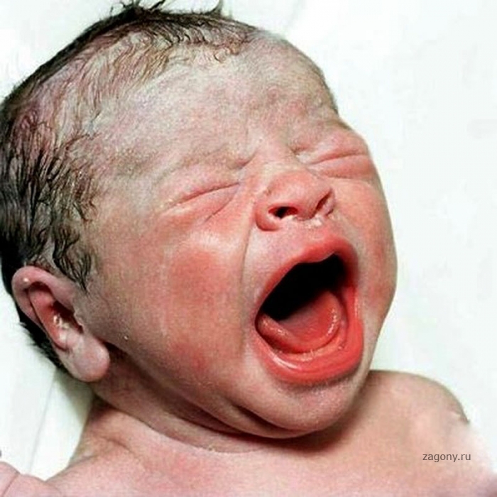 Портреты новорожденных младенцев (25 фото)