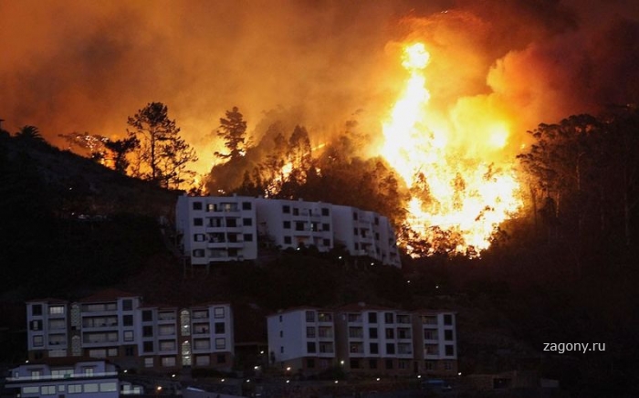 Лесные пожары в Южной Европе (26 фото)