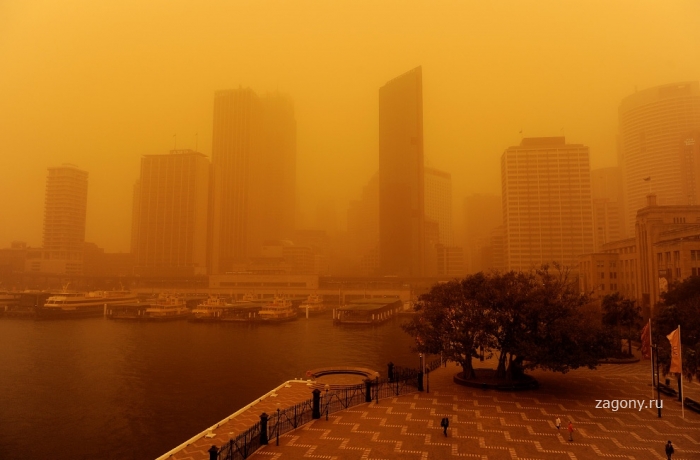 «Марсианские бури» Сиднея (15 фото)